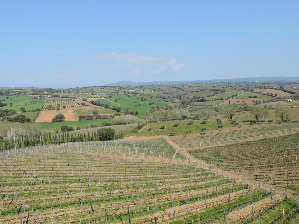 Gasthaus Poggio Lungo Grosseto Exterior foto